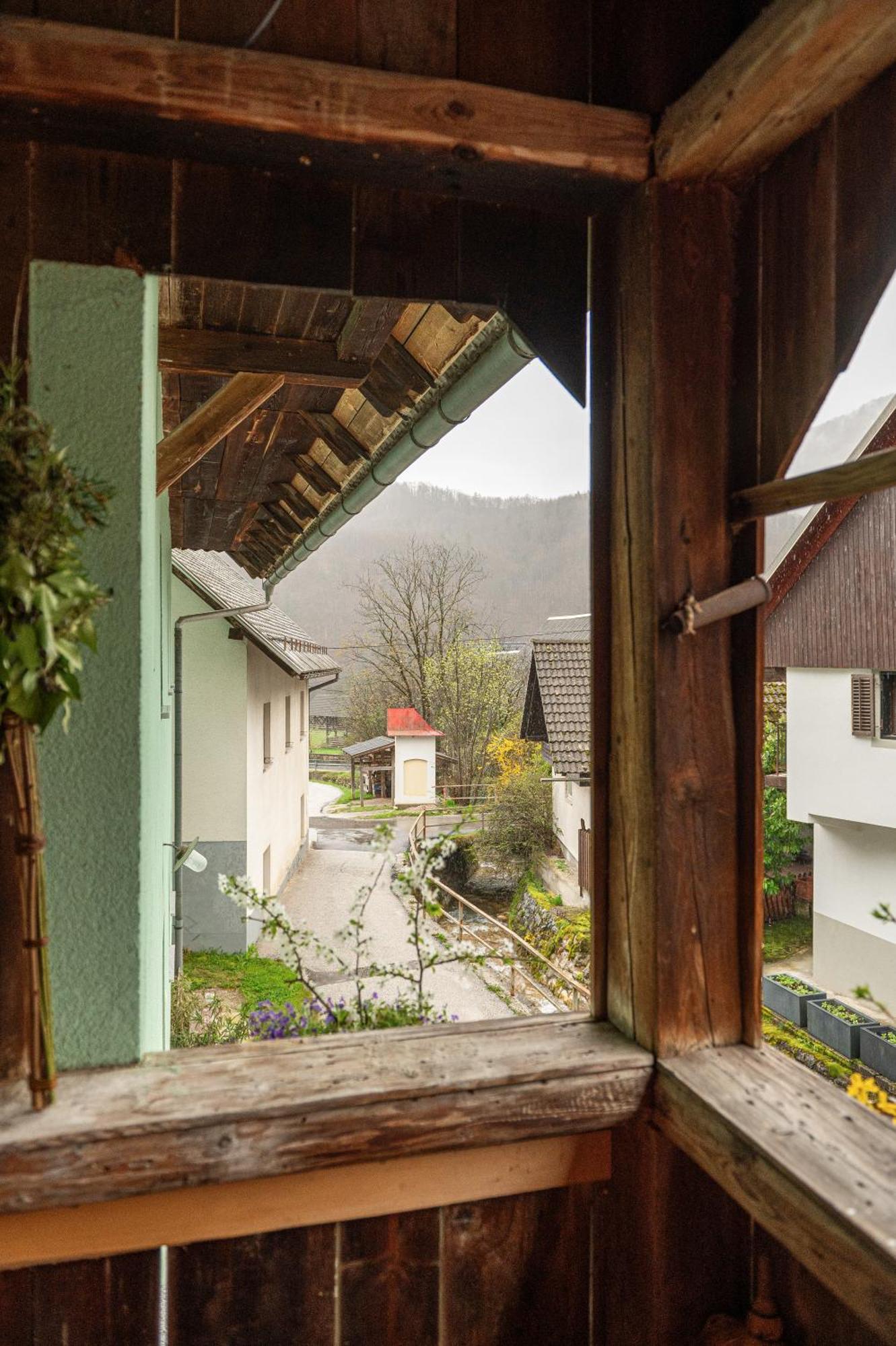 Apartamento Zelena Hisa Pri Bjov Bohinjska Bela Exterior foto