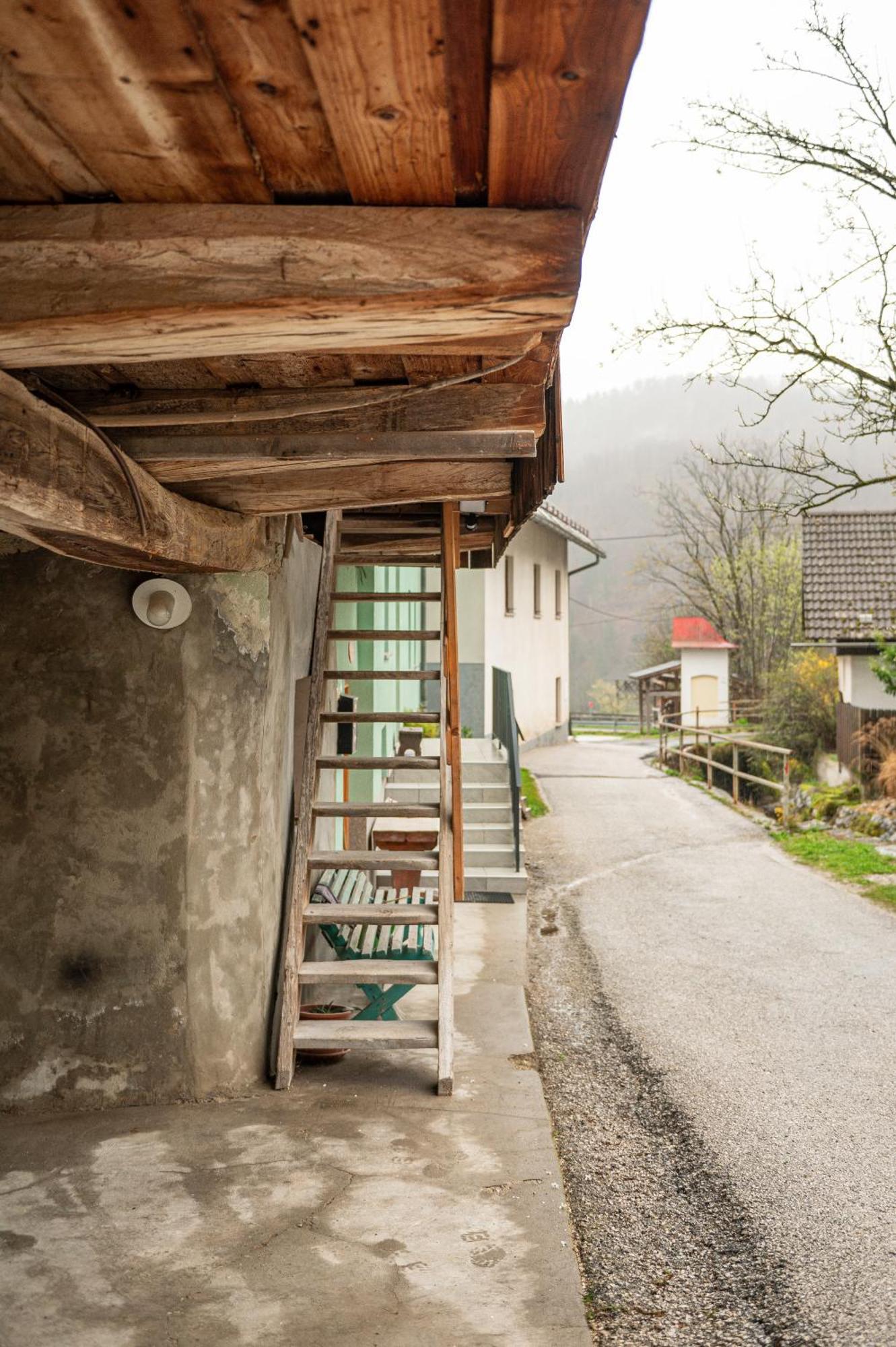 Apartamento Zelena Hisa Pri Bjov Bohinjska Bela Exterior foto