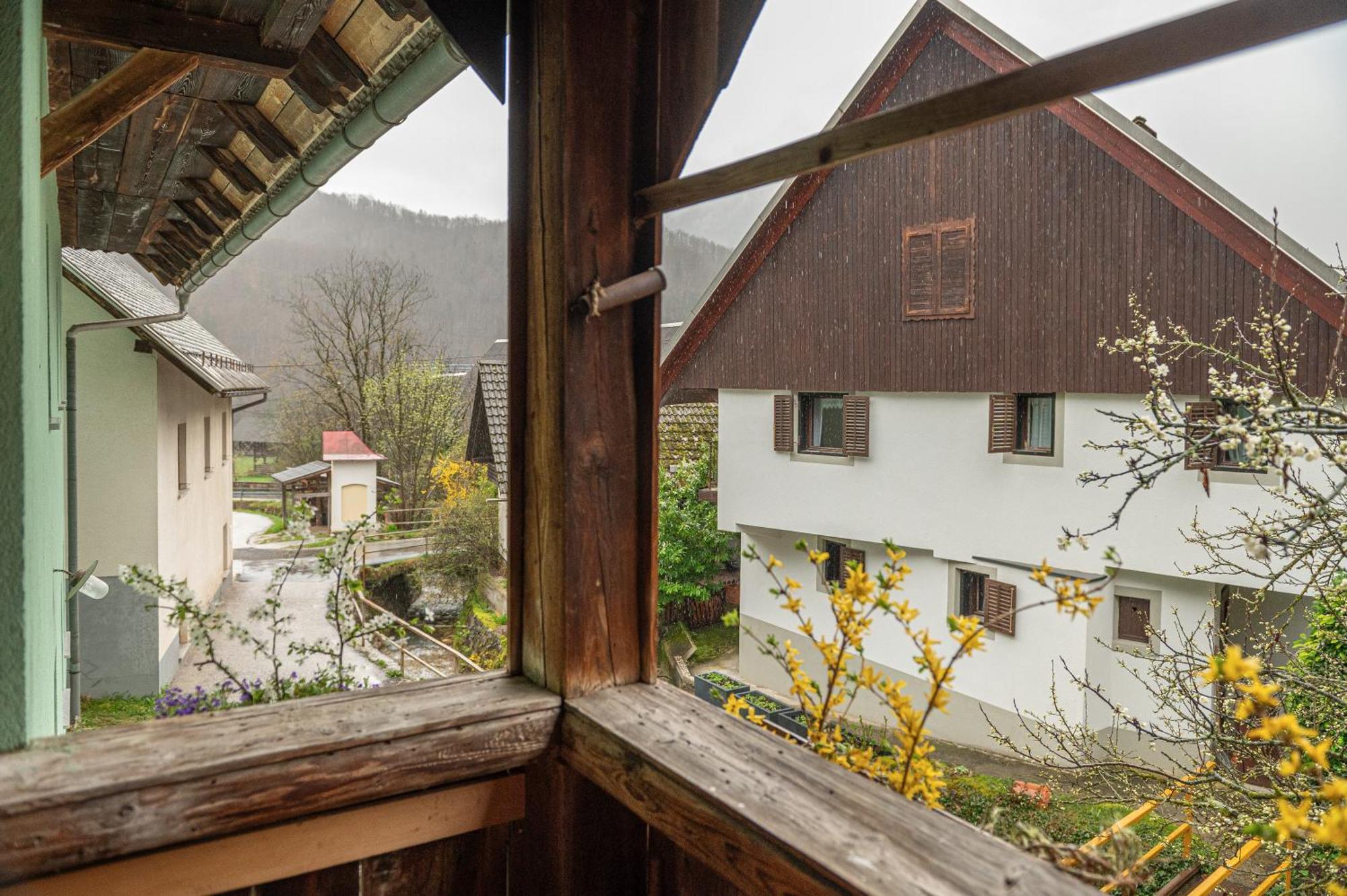 Apartamento Zelena Hisa Pri Bjov Bohinjska Bela Exterior foto